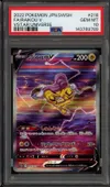 PSA 10 Raikou V thumbnail 1