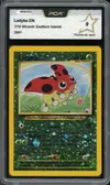 PCA 9 Ledyba thumbnail 1