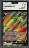 PCA 9 Noadkoko d'Alola V thumbnail 1