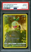 PSA 8 Tortipouss thumbnail 1
