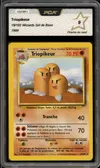 PCA 9 Triopikeur thumbnail 1