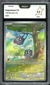 PCA 9.5 Saquedeneu thumbnail 1