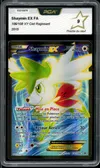 PCA 9 Shaymin Ex thumbnail 1