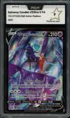 PCA 9 Sylveroy Cavalier d'Effroi V thumbnail 1