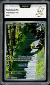 PCA 9.5 Psykokwak thumbnail 1
