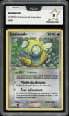 PCA 9 Insolourdo thumbnail 1