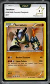 PCA 9 Terrakium Holo thumbnail 1