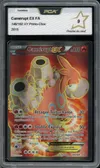 PCA 9 Camérupt Ex thumbnail 1