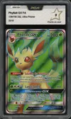 PCA 9 Phyllali Gx thumbnail 1