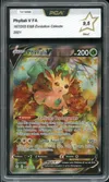 PCA 9.5 Phyllali V thumbnail 1