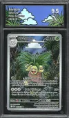 CA 9.5 Noadkoko thumbnail 1