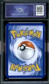 CA 9.5 Zorua de N thumbnail 2