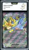PCA 9.5 Zacian Ex de Nabil thumbnail 1