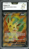 PCA 9.5 Phyllali V thumbnail 1
