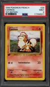 PSA 9 Caninos thumbnail 1