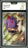 PCA 10 Zorua de N thumbnail 1