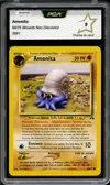 PCA 9 Amonita thumbnail 1