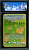 CA 9.5 Métamorph thumbnail 1