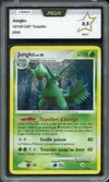 PCA 9.5 Jungko Holo thumbnail 1