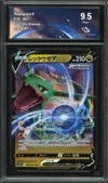 CA 9.5 Rayquaza V thumbnail 1