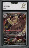 PCA 10 Noarfang thumbnail 1