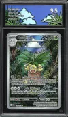 CA 9.5 Noadkoko thumbnail 1