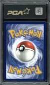 PCA 9.5 Saquedeneu thumbnail 2
