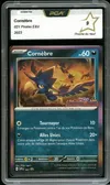 PCA 9 Cornèbre thumbnail 1