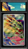 CA 9.5 Pomdorochi thumbnail 1