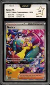 PCA 10 Narica thumbnail 1