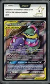PCA 9 Grotadmorv et Grotadmorv d'Alola Gx thumbnail 1