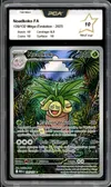 PCA 10 Noadkoko thumbnail 1