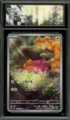 CA 10 Pawmi thumbnail 1