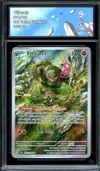 CA 9 Félicanis thumbnail 1