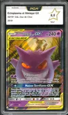 PCA 9.5 Ectoplasma et Mimiqui Gx thumbnail 1