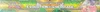 Coffret Collection XY Evolution d'un Héritage thumbnail 4