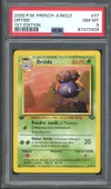 PSA 8 Ortide thumbnail 1