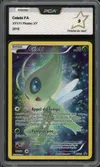 PCA 9 Celebi thumbnail 1