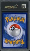 PCA 9.5 Zorua de N thumbnail 2