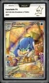PCA 9.5 Canarbello thumbnail 1