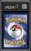 PCA 9.5 Zoroark Ex de N Gold thumbnail 2