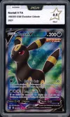 PCA 9.5 Noctali V thumbnail 1