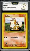 PCA 7 Caninos thumbnail 1