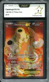 PCA 9 Camérupt Ex thumbnail 1