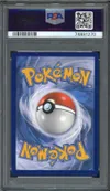 PSA 10 Recherches Professorales Professeure Keteleeria thumbnail 2