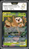 PCA 9.5 Brindibou et Noadkoko d’Alola Gx thumbnail 1