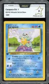 PCA 9 Carapuce thumbnail 1