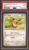 PSA 9 Evoli thumbnail 1