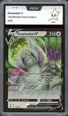 PCA 9.5 Gouroutan V thumbnail 1