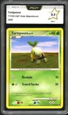 PCA 9.5 Tortipouss thumbnail 1